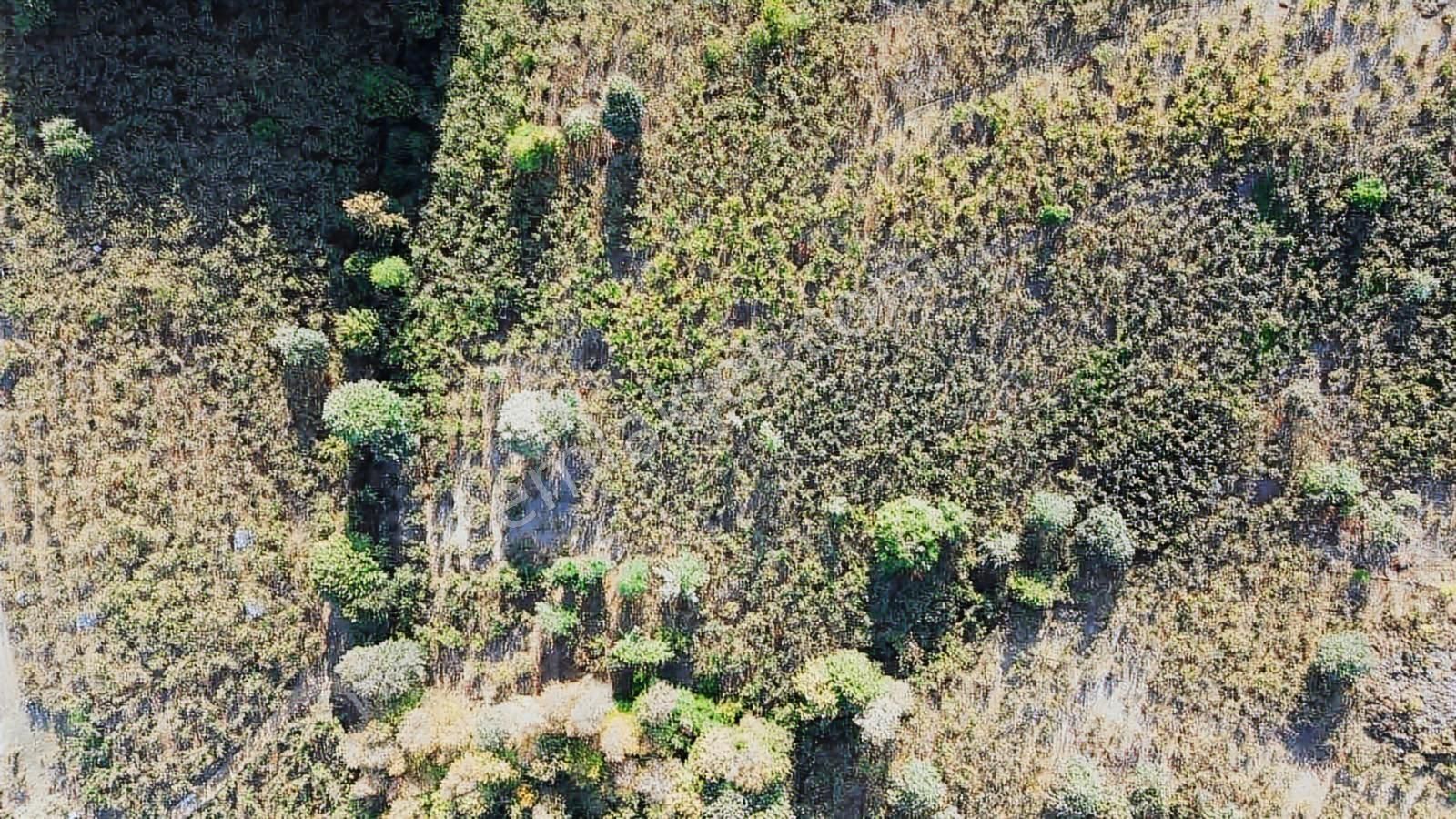 Yön Group'tan Kuzuluk'ta Satılık Arsa - Görsel 33