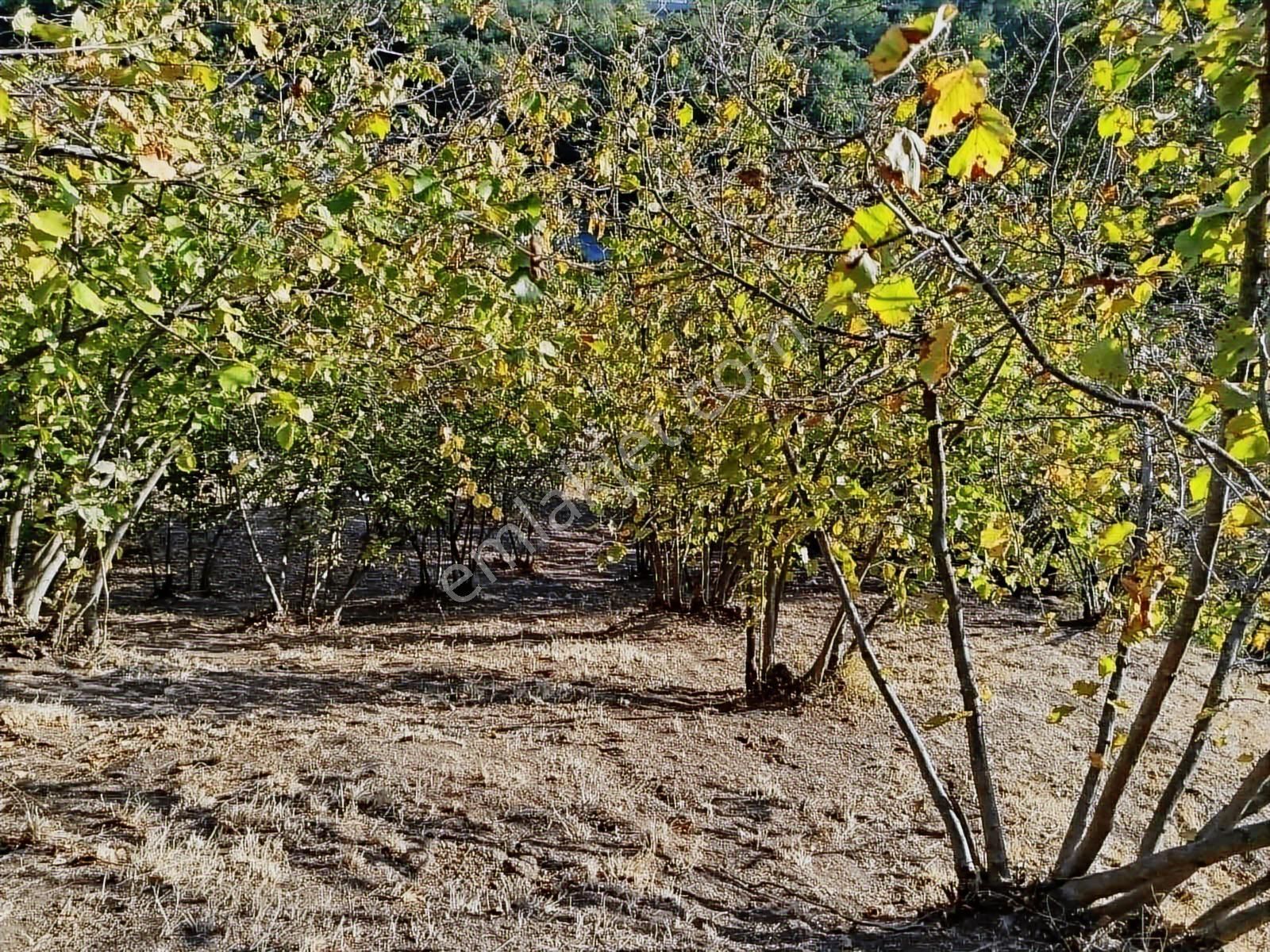 Yön Group'tan Kuzuluk'ta Satılık Arsa - Görsel 17