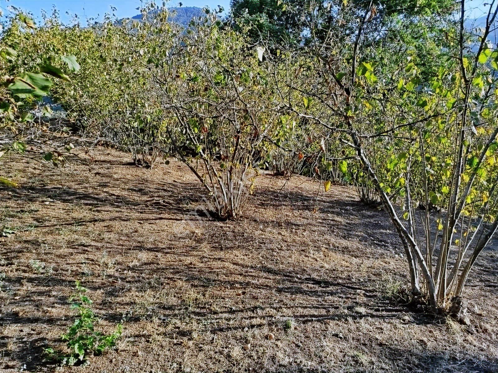 Yön Group'tan Kuzuluk'ta Satılık Arsa - Görsel 27