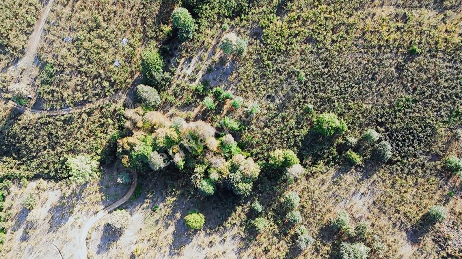 Yön Group'tan Kuzuluk'ta Satılık Arsa - Görsel 25