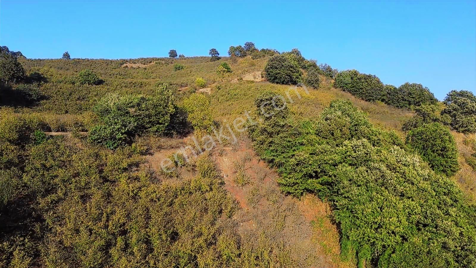 Yön Group'tan Kuzuluk'ta Satılık Arsa - Görsel 30