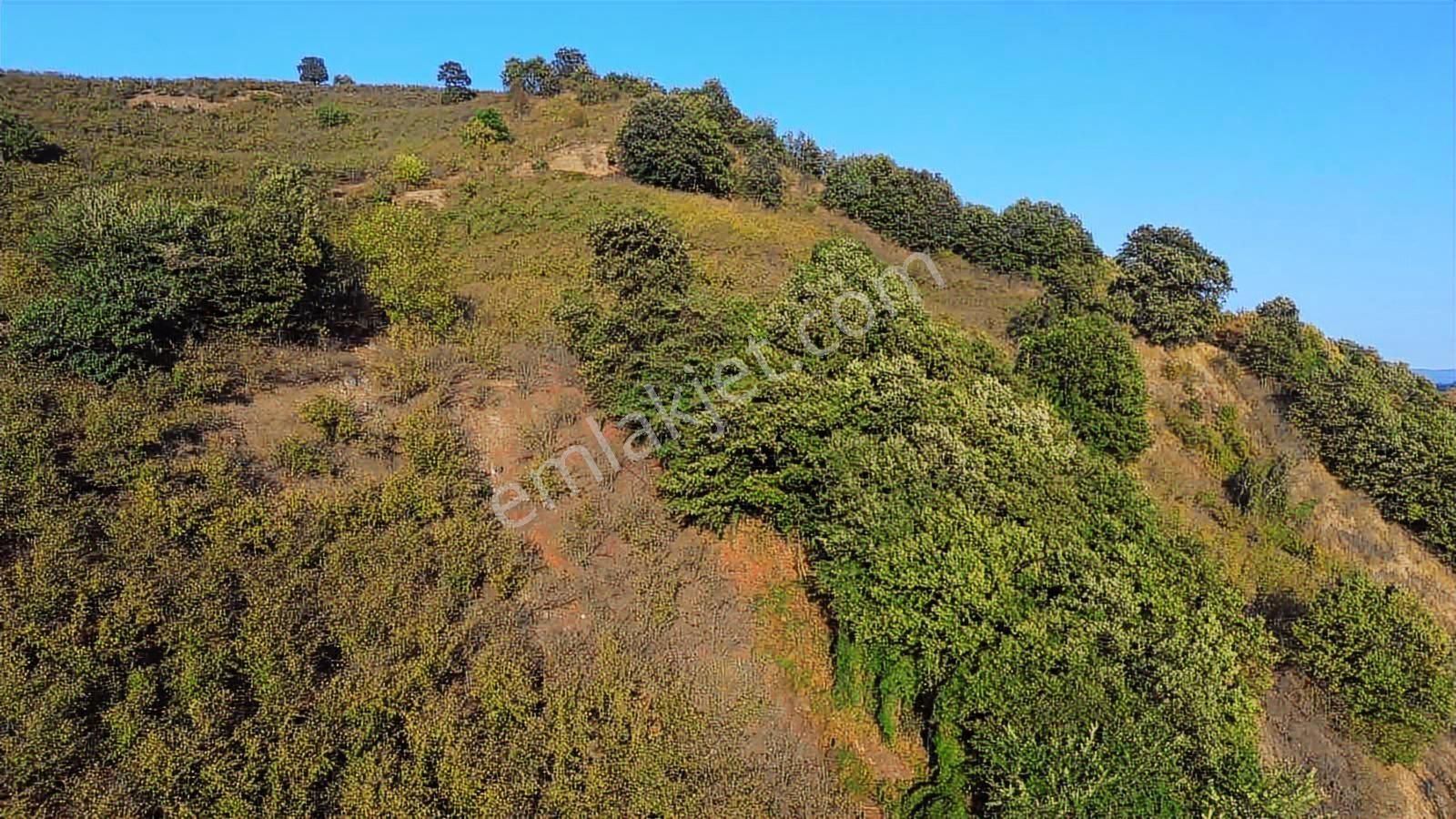 Yön Group'tan Kuzuluk'ta Satılık Arsa - Görsel 12