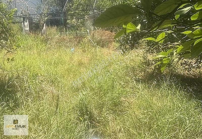 Altın Emlak Global | Dalaman Taşlıburun'da Satılık Arsa 350 M2 - Görsel 2