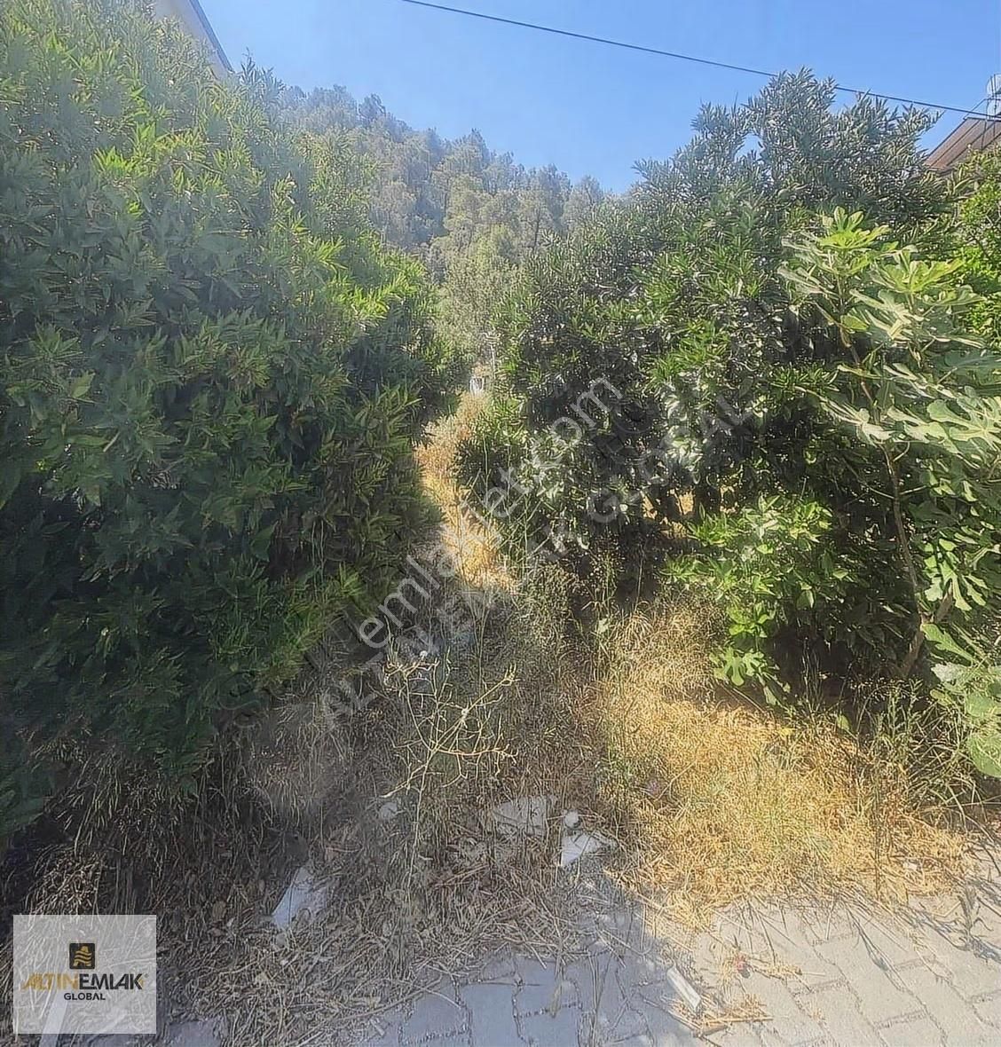 Altın Emlak Global | Dalaman Taşlıburun'da Satılık Arsa 350 M2 - Görsel 3