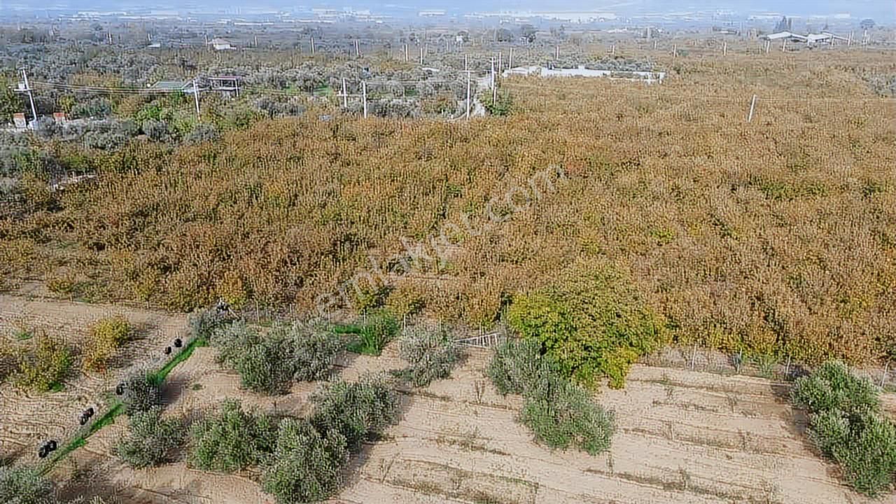 Yukarı Kızılcada Müstakil Bahçe - Görsel 18