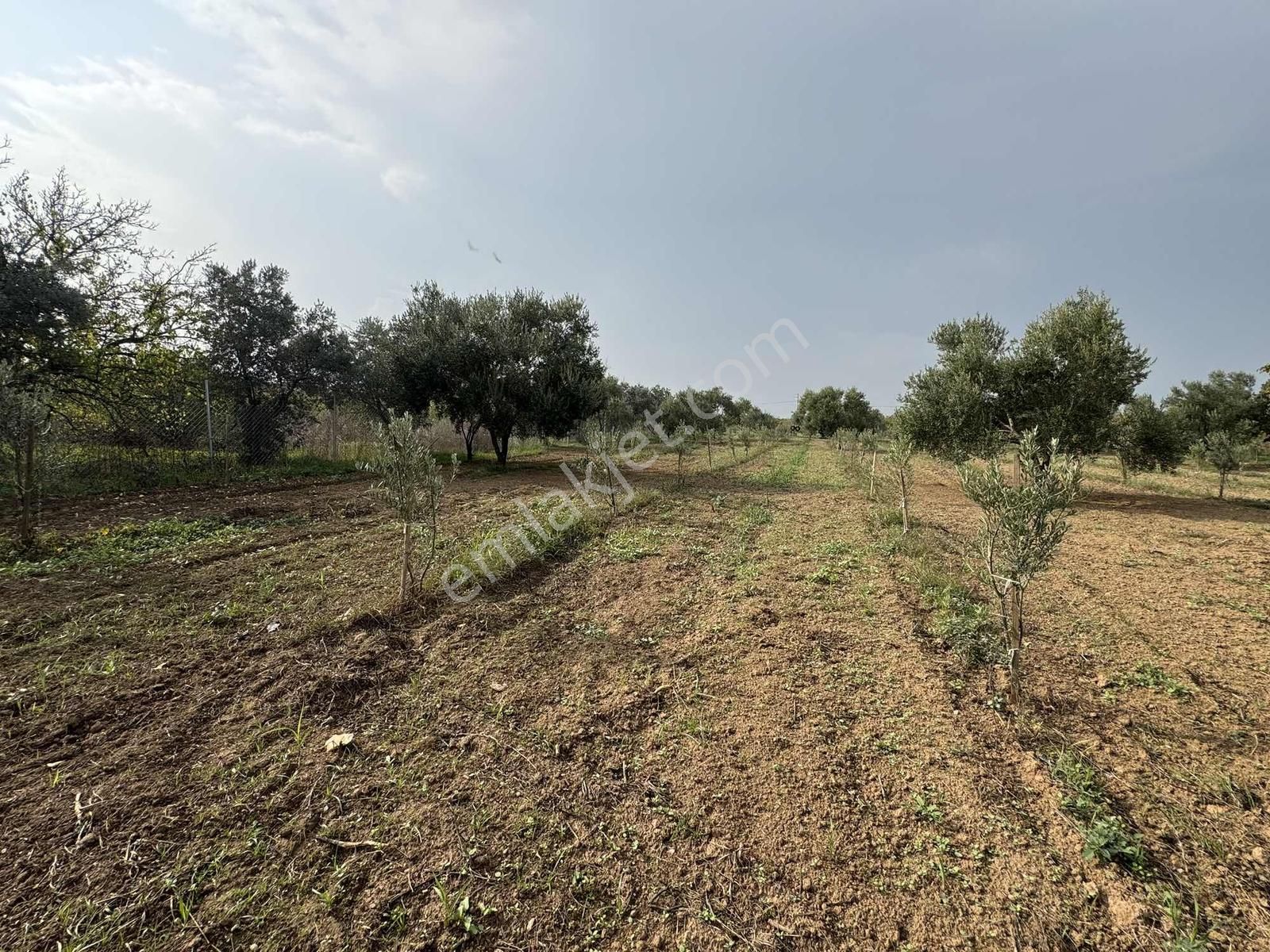 Yukarı Kızılcada Müstakil Bahçe - Görsel 6