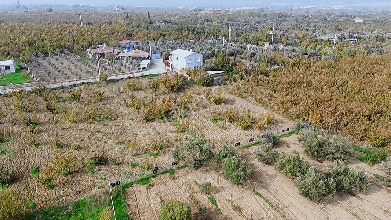 Yukarı Kızılcada Müstakil Bahçe - Görsel 12