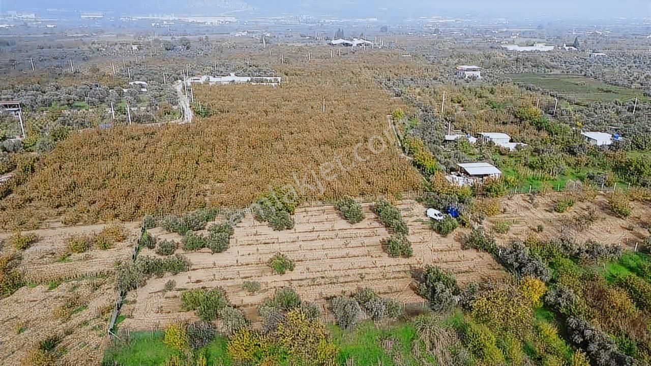 Yukarı Kızılcada Müstakil Bahçe - Görsel 9