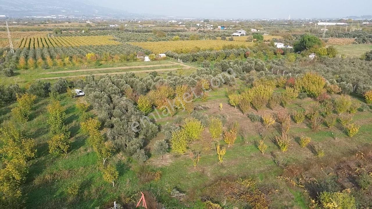 Satılık Müstakil Parsel İzmir Kemalpaşa Aşağı Kızılca - Görsel 10