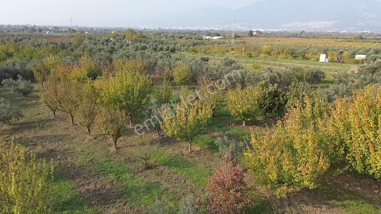 Satılık Müstakil Parsel İzmir Kemalpaşa Aşağı Kızılca - Görsel 7
