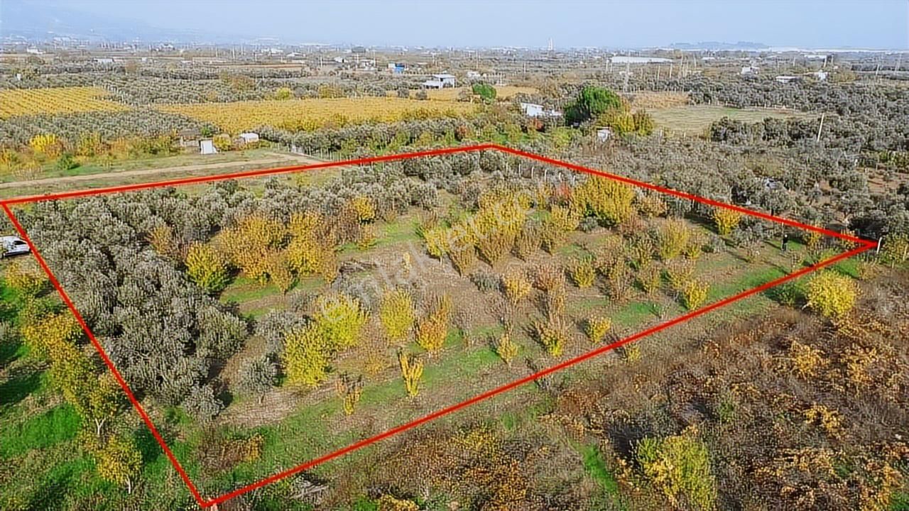 Satılık Müstakil Parsel İzmir Kemalpaşa Aşağı Kızılca - Görsel 16