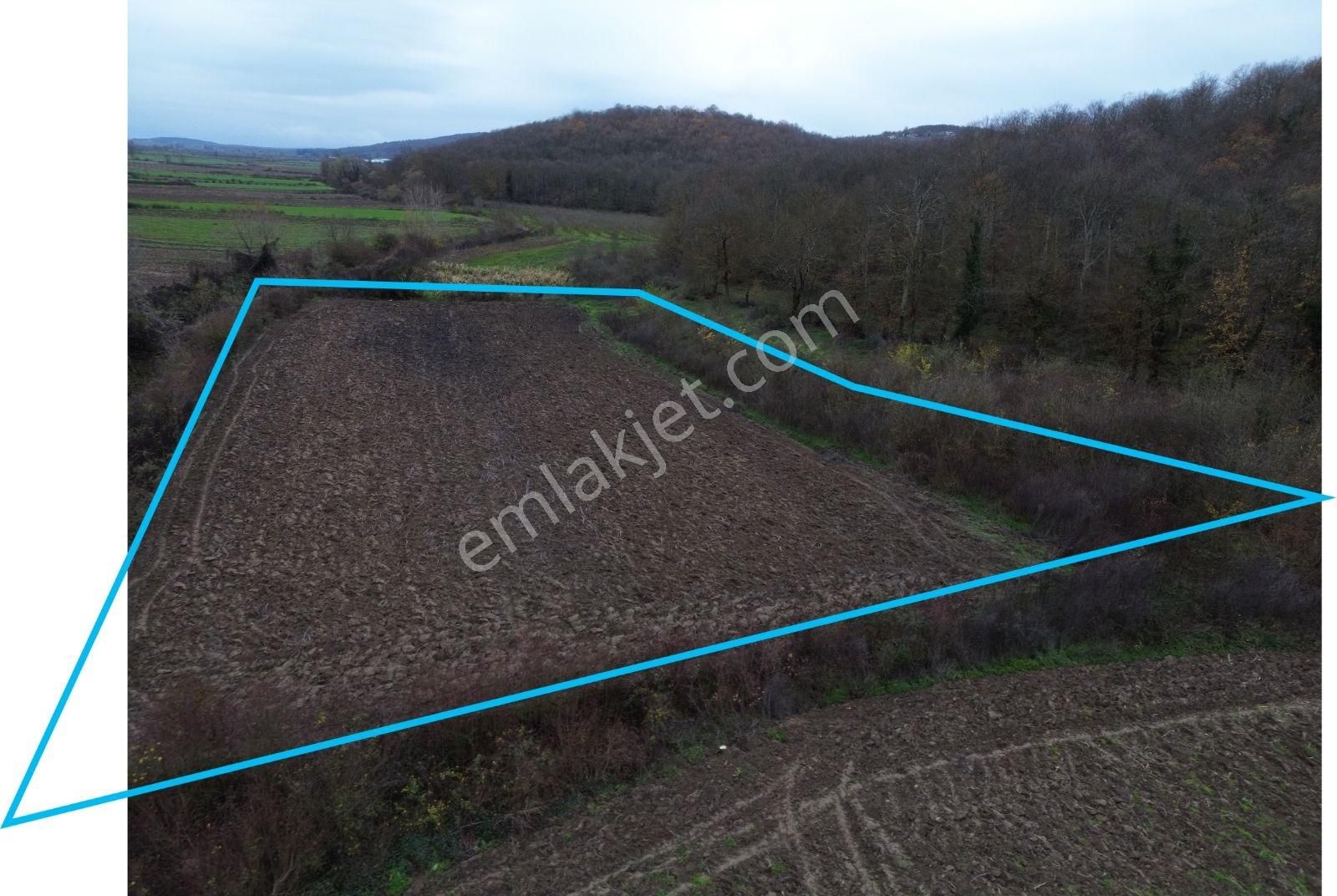 Arazi Uzmanı Recep Davutoğlu'ndan Yatırımlık Tarla - Görsel 15