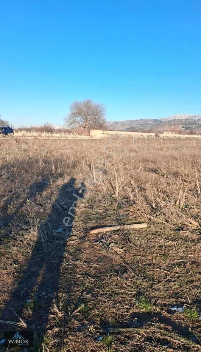 Baklan Merkeze 3 Dakika Asfalta Sıfır Satılık Hobi Bahçesi - Görsel 6