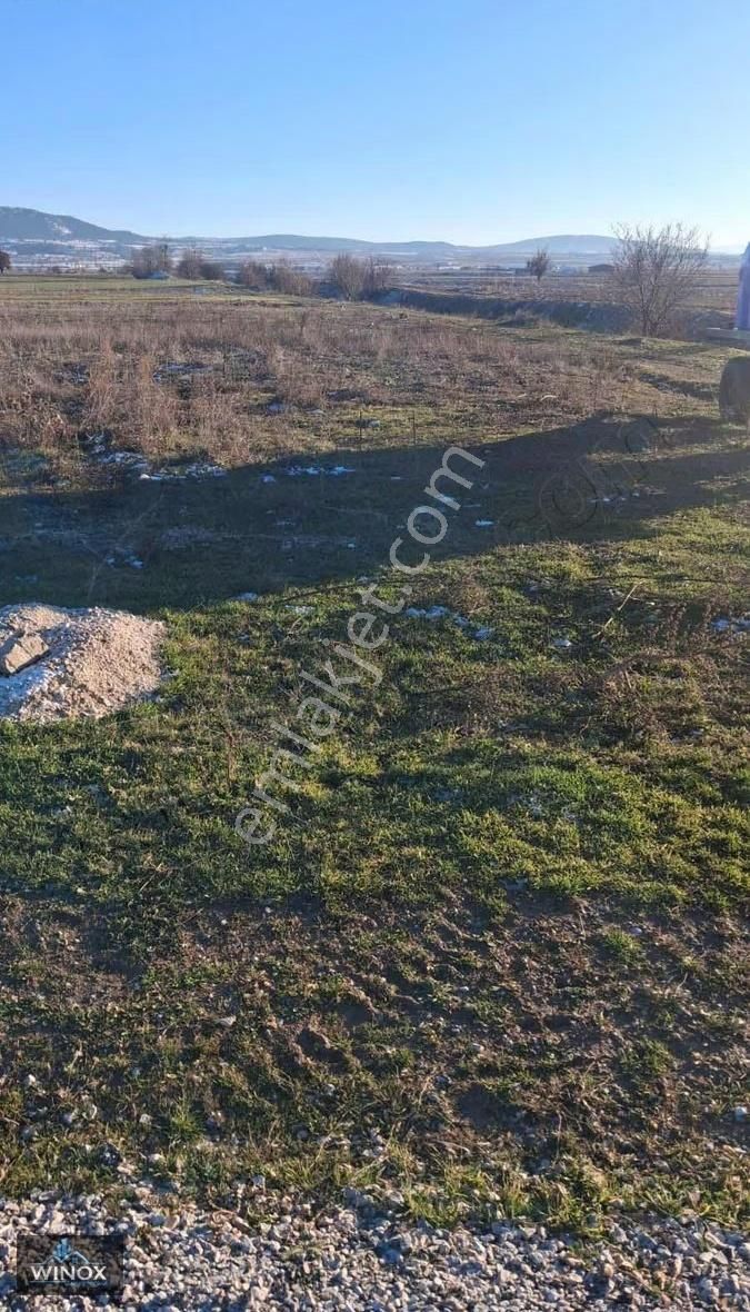 Baklan Merkeze 3 Dakika Asfalta Sıfır Satılık Hobi Bahçesi - Görsel 7