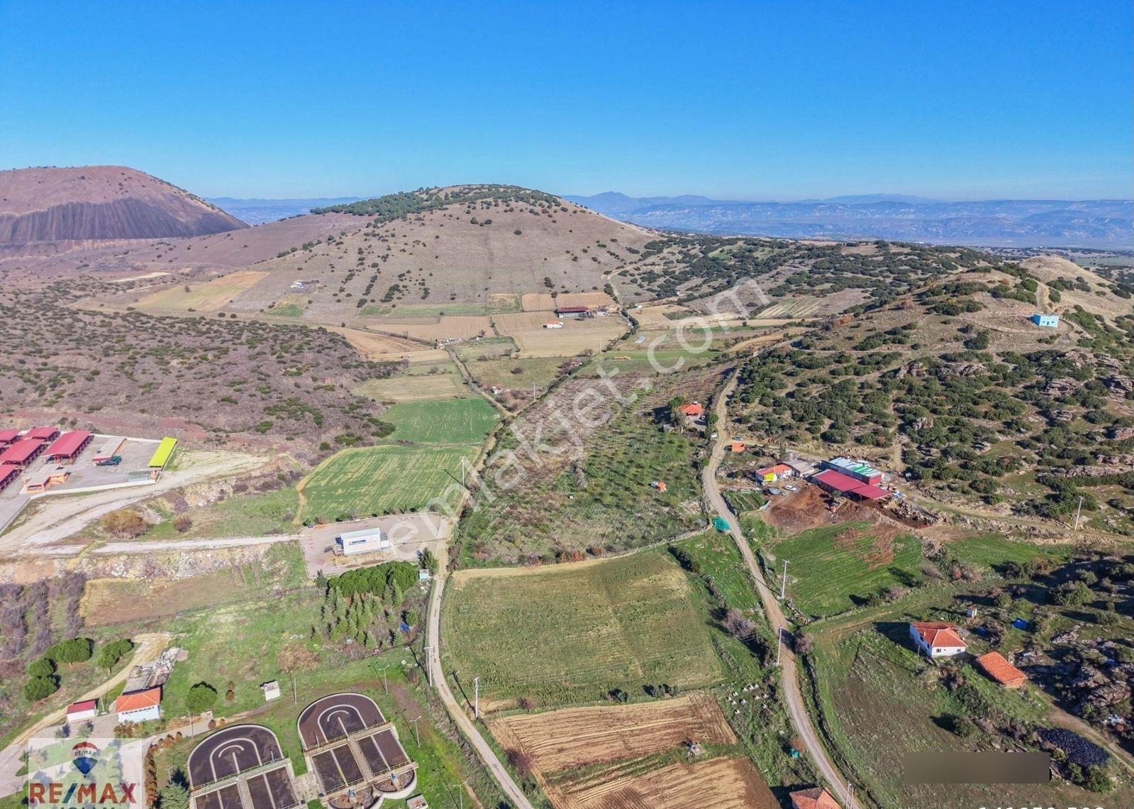 Kula Zaferiye Merkeze Ve Anayola Yakın Satılık Meyve Bahçesi - Görsel 21