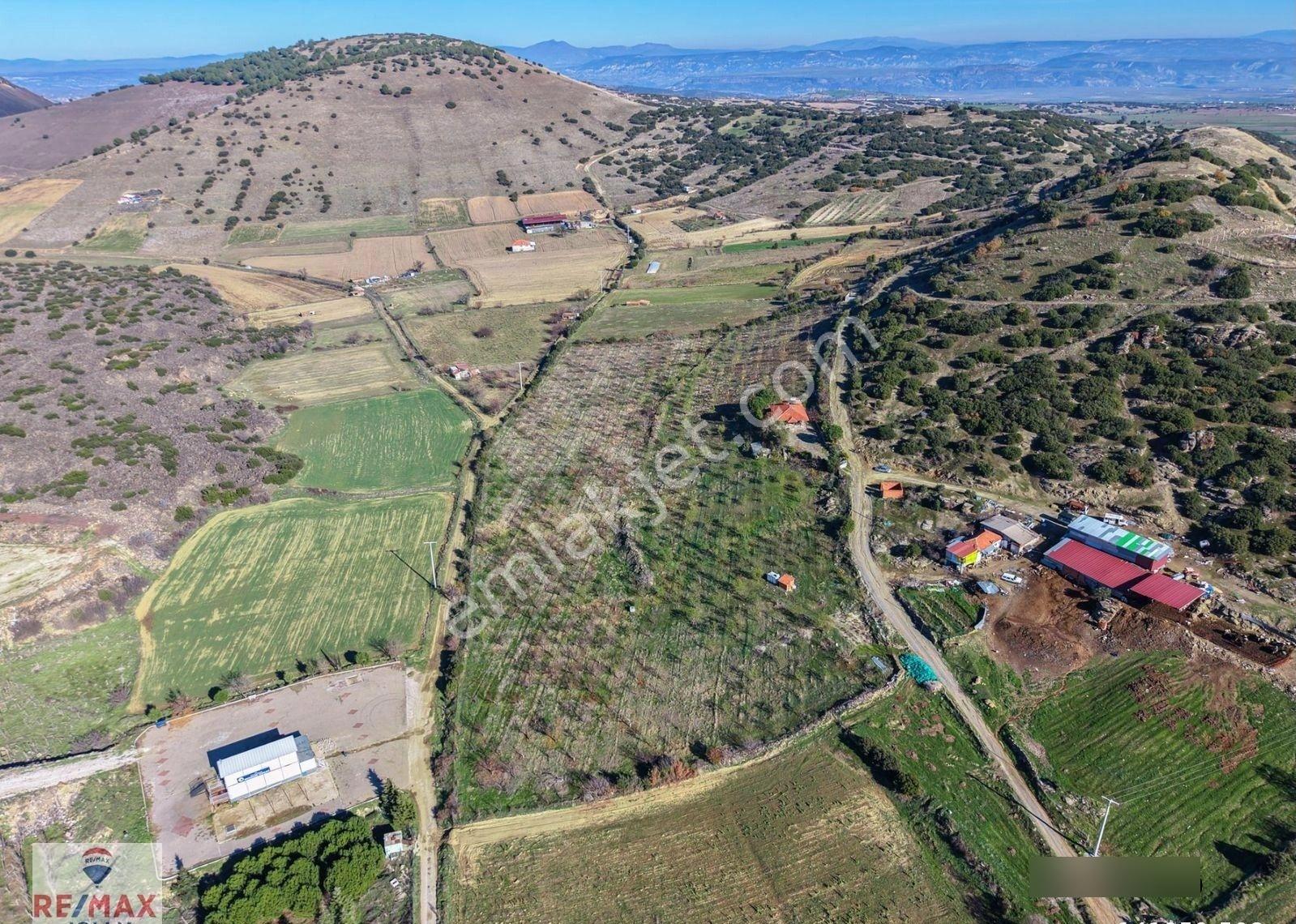 Kula Zaferiye Merkeze Ve Anayola Yakın Satılık Meyve Bahçesi - Görsel 14