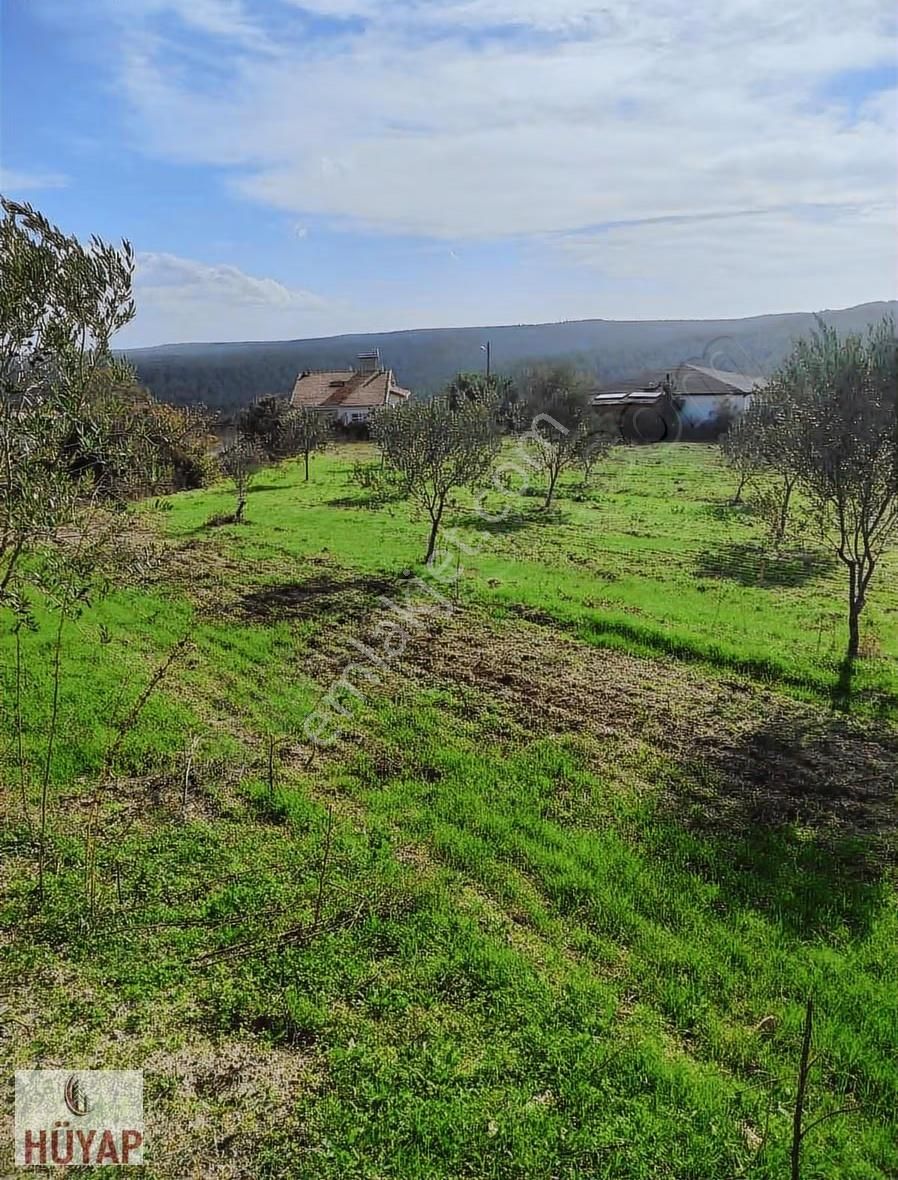 Çanakkale Ecabat Behramlı Köyünde Satılık Arsa - Görsel 11