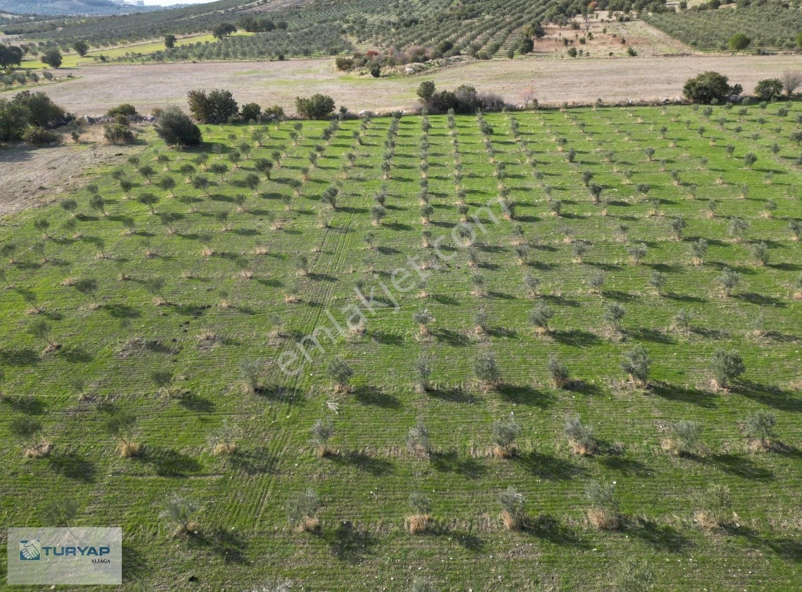 Bahçelide Yatırımlık Fırsat Tarla