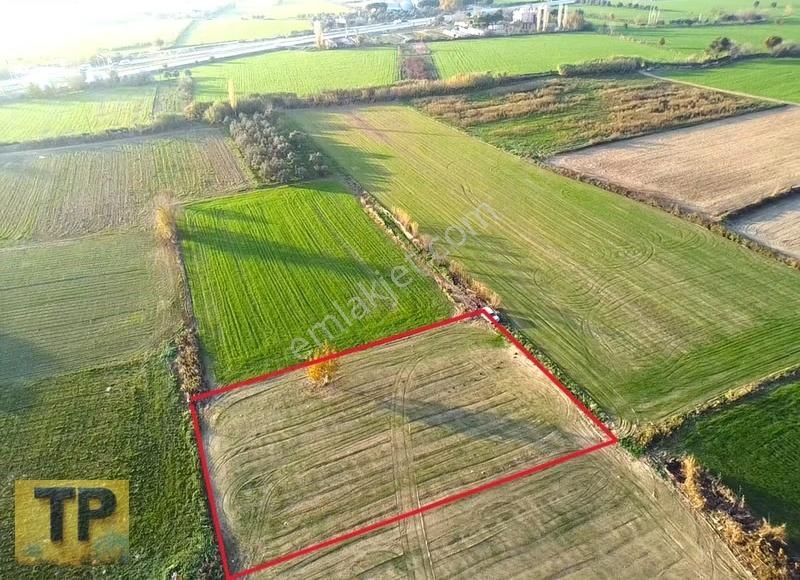 Tire Pınar Emlak Tan Satılık Tek Tapulu Bahçe - Görsel 7