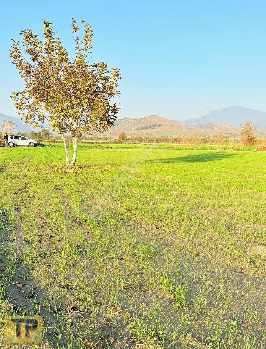 Tire Pınar Emlak Tan Satılık Tek Tapulu Bahçe - Görsel 13