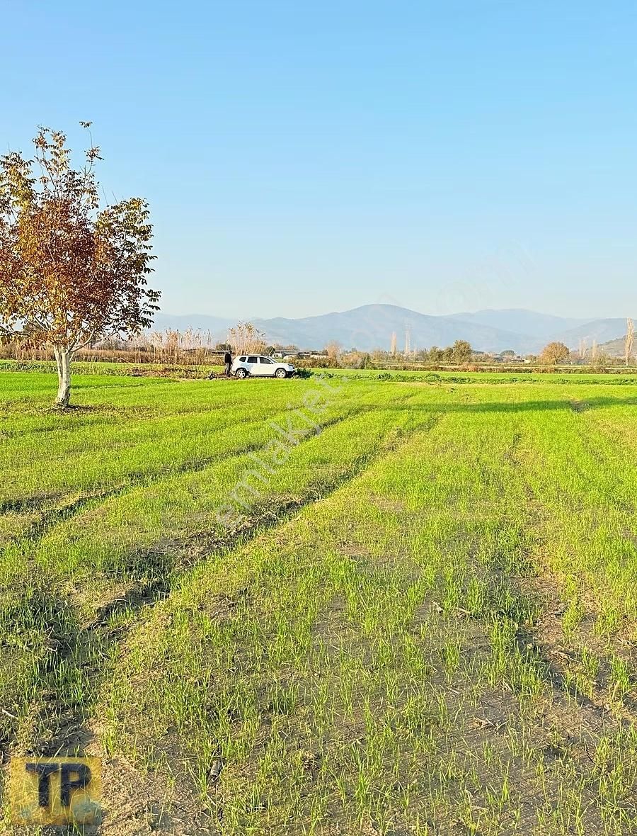 Tire Pınar Emlak Tan Satılık Tek Tapulu Bahçe - Görsel 10