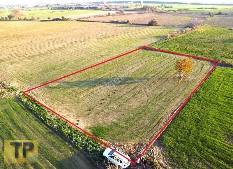 Tire Pınar Emlak Tan Satılık Tek Tapulu Bahçe