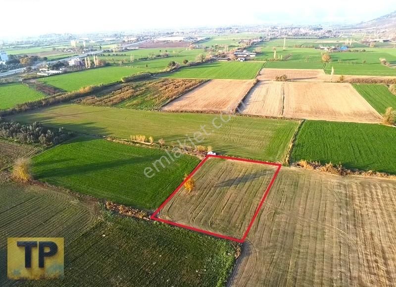 Tire Pınar Emlak Tan Satılık Tek Tapulu Bahçe - Görsel 8