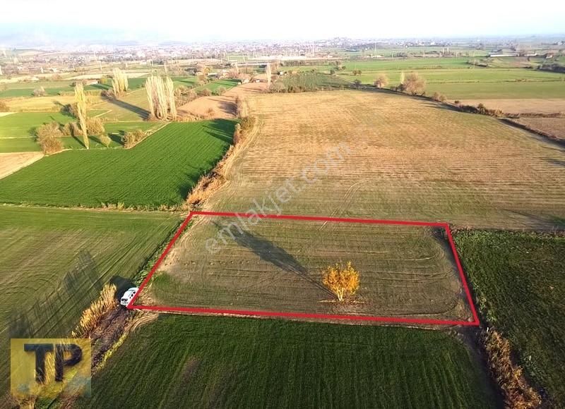 Tire Pınar Emlak Tan Satılık Tek Tapulu Bahçe - Görsel 3