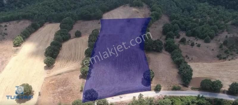 Çanakkale Biga Sarısıvat Köyü 8.175 M2 Satılık Fırsat Tarla - Görsel 8