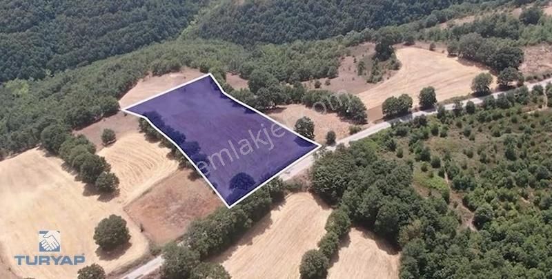 Çanakkale Biga Sarısıvat Köyü 8.175 M2 Satılık Fırsat Tarla - Görsel 7