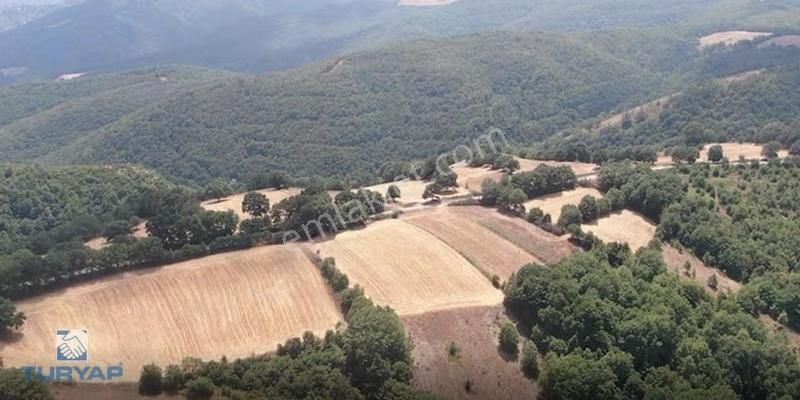 Çanakkale Biga Sarısıvat Köyü 8.175 M2 Satılık Fırsat Tarla - Görsel 2