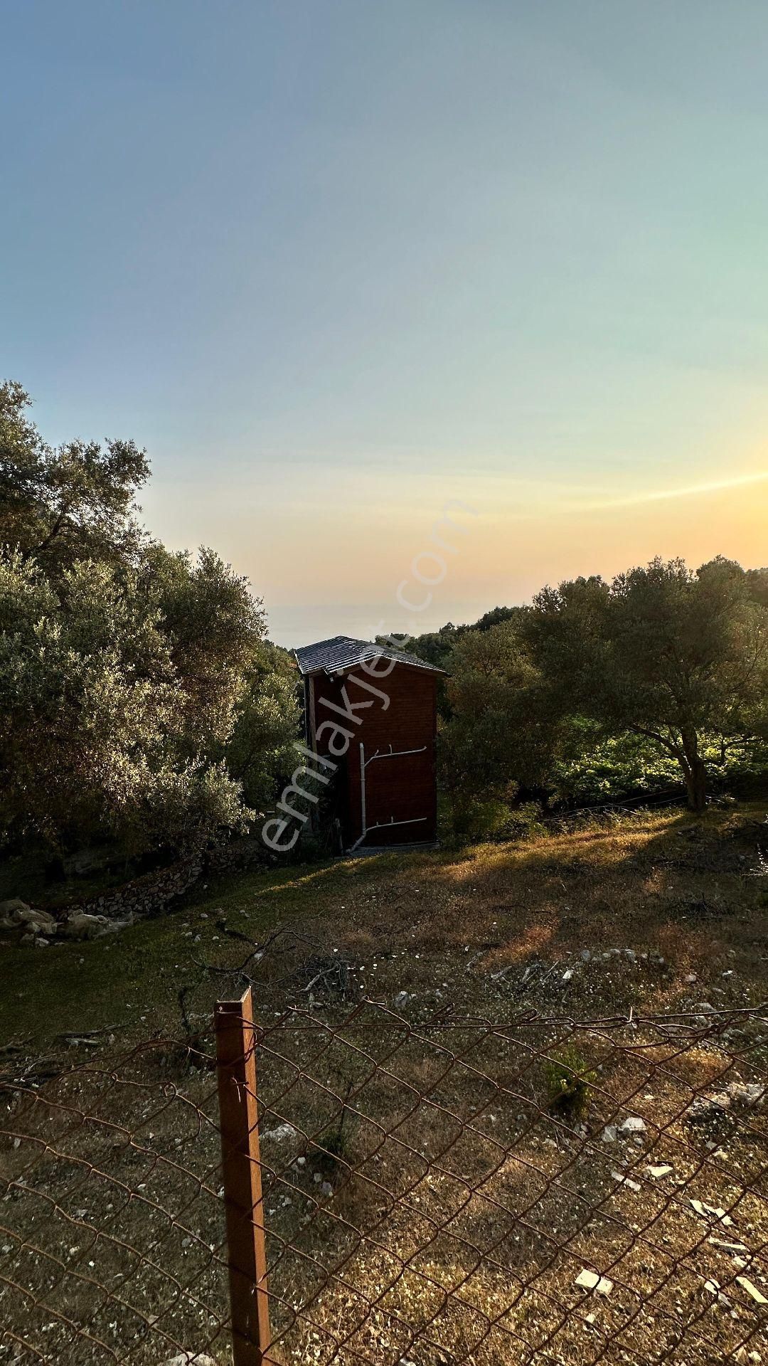 Ölüdeniz Kirme De 2 Villa İmarlı Yatırımlık Fırsat Parsel! - Görsel 2