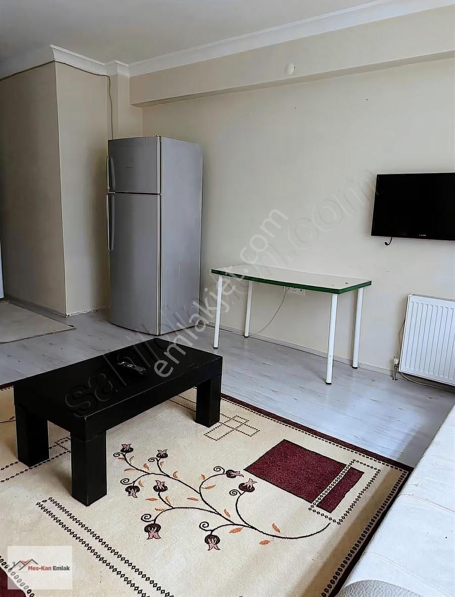 Meskan Dan Dumlupınarda Ara Kat Geniş 2+1 Eşyalı Kiralık - Görsel 3