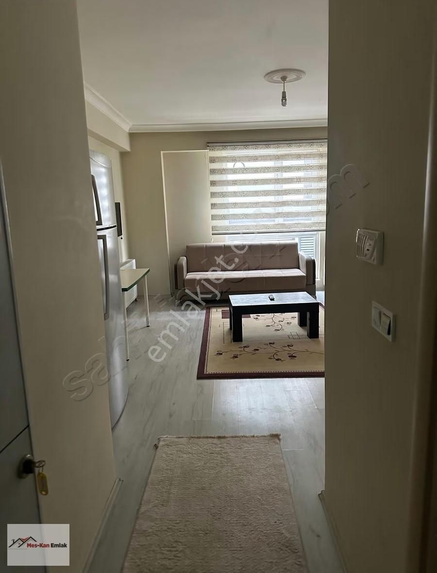 Meskan Dan Dumlupınarda Ara Kat Geniş 2+1 Eşyalı Kiralık - Görsel 15