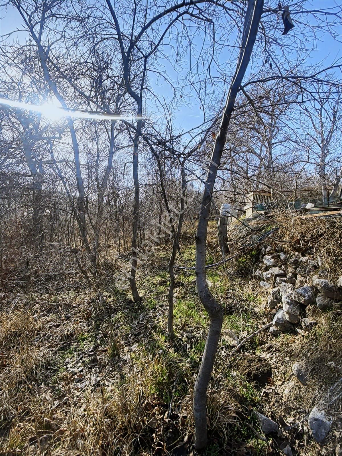 Meram Da Küçük Yeriniz Olsun 124 M2 Müstakil Tapu Bahçe - Görsel 7
