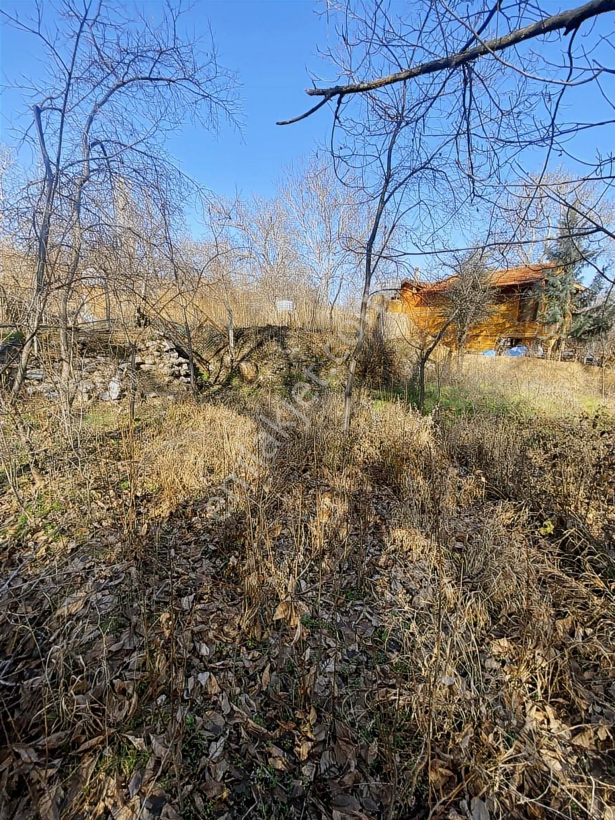 Meram Da Küçük Yeriniz Olsun 124 M2 Müstakil Tapu Bahçe - Görsel 16