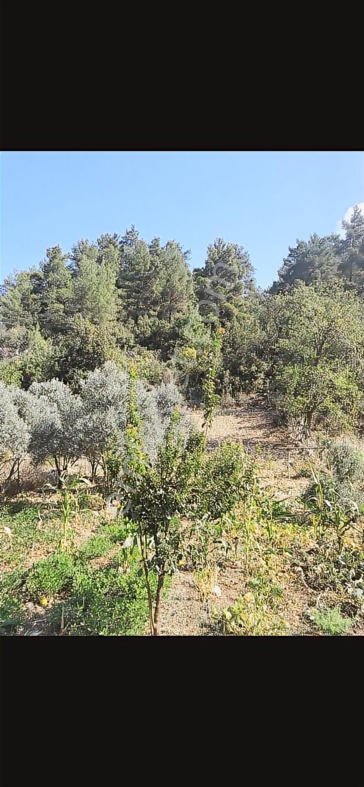 Konyaaltı Hisarçandır'da Satılık Tarla - Görsel 4