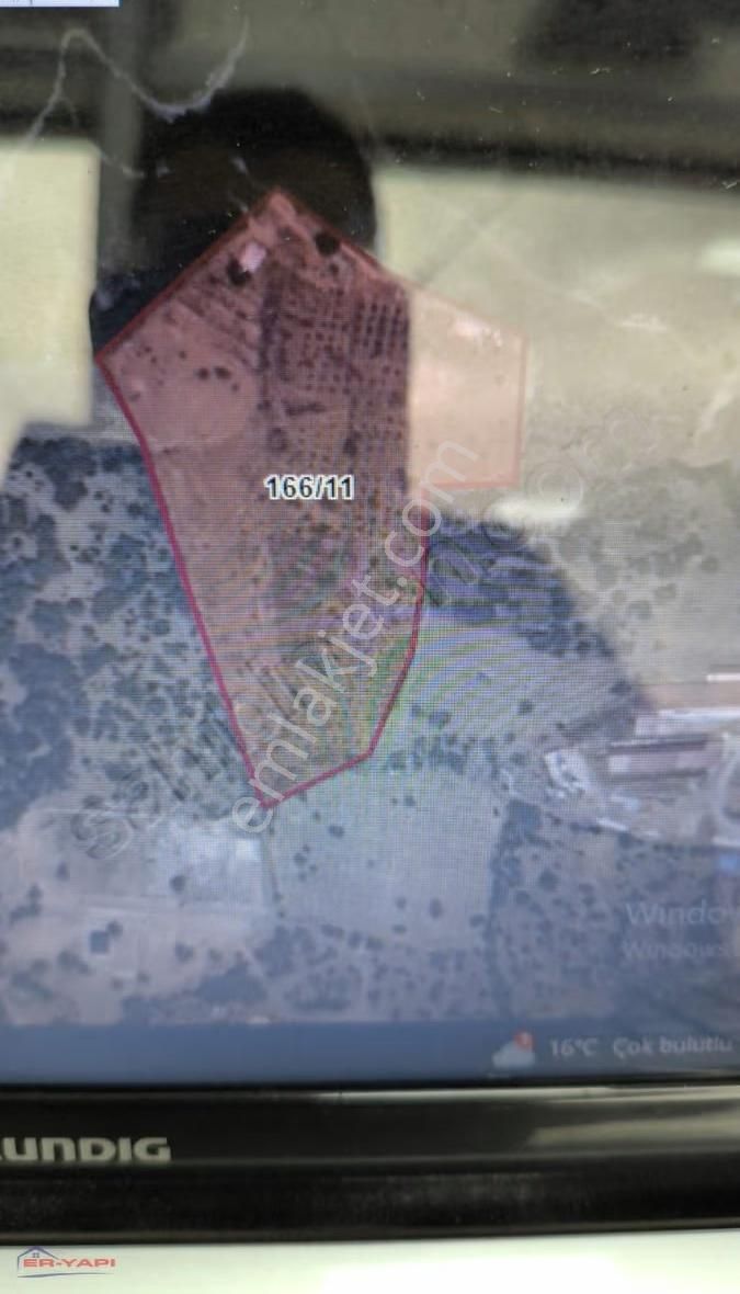 Emsallerine Göre Uygun Fiyat'a Zeytinlik