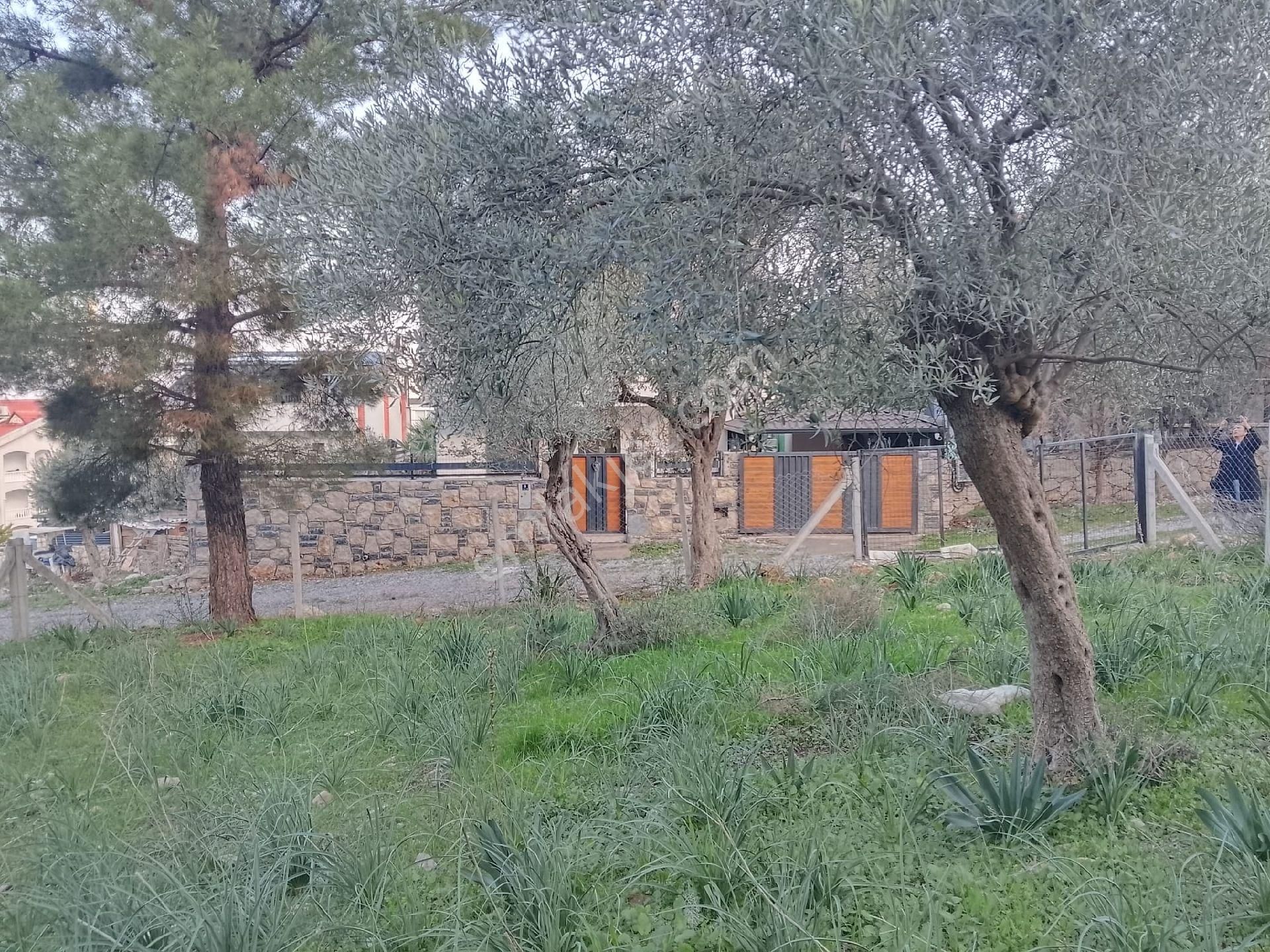 Didim Akbük Realty World Doğa Gayrimenkul Güvencesiyle Satılık Villa Arsasi - Görsel 6