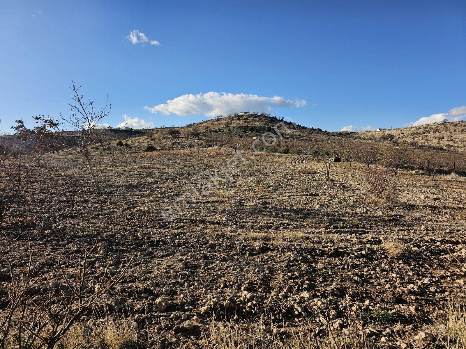 Hakev'den Ciritmeydan Mah.bahçe Satılıktır - Görsel 8