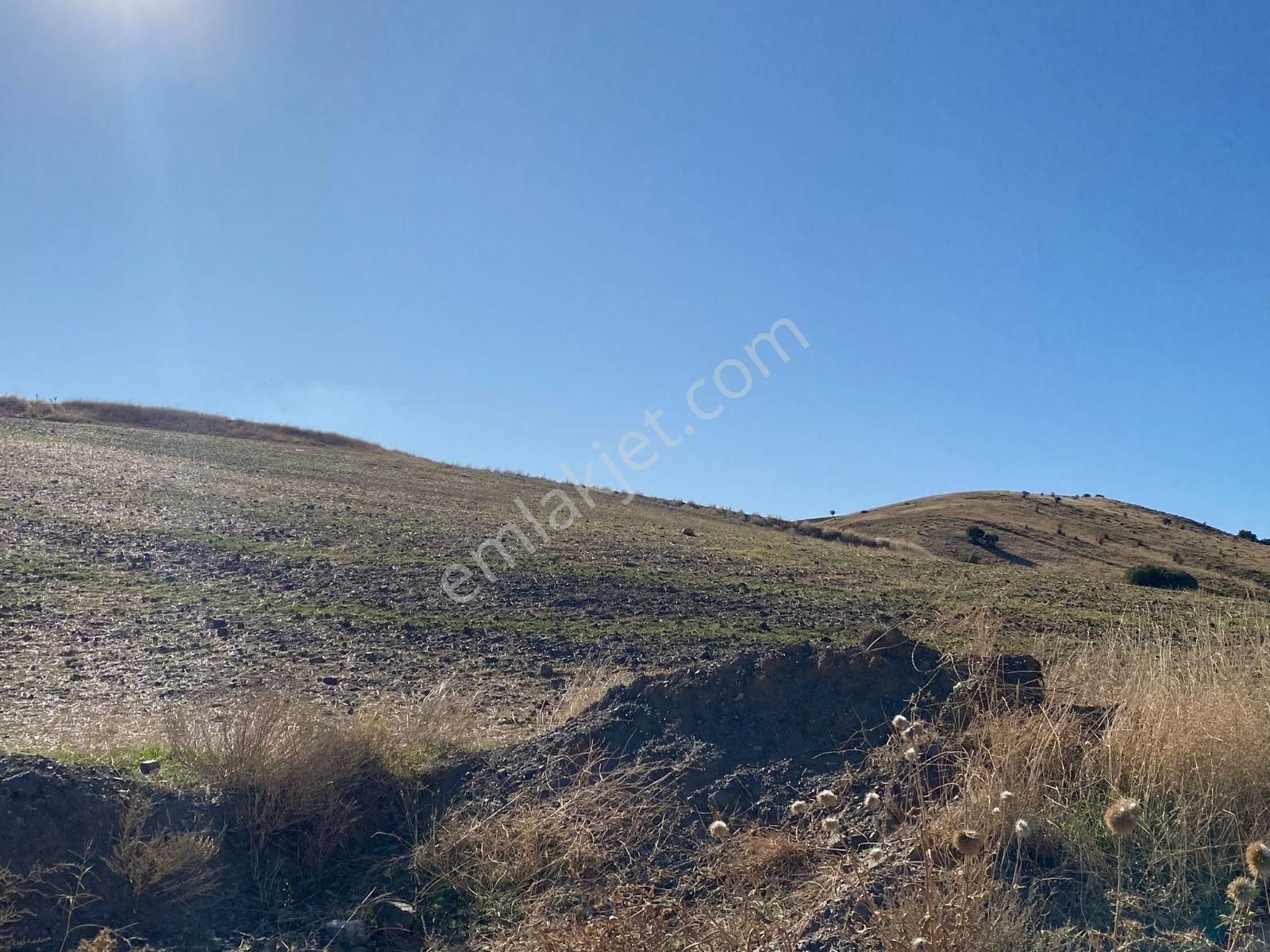 Akyurt Kızık Mah Fırsat 9.000m2 Tek Tapu Yola Cephe Tarla - Görsel 4
