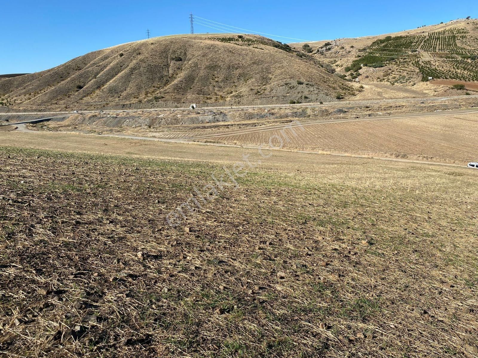 Akyurt Kızık Mah Fırsat 9.000m2 Tek Tapu Yola Cephe Tarla - Görsel 6