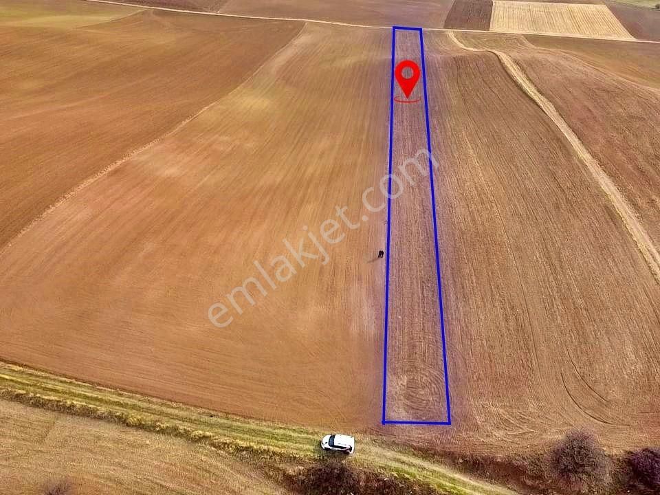 /lider Gayrimenkul'den 9789m2 Tek Tapu Kadastro Yolu Olan Tarla/ - Görsel 4