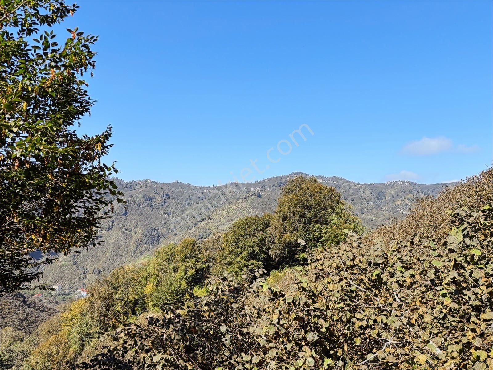 Beyaz Emlaktan Yatırımlık 7 Dönüm Satılık Arsa - Görsel 10