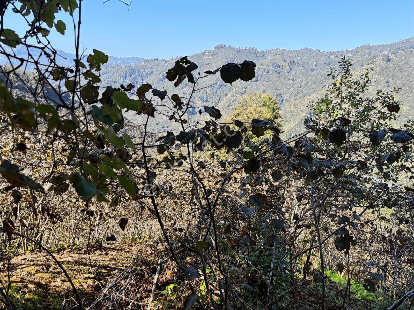 Beyaz Emlaktan Yatırımlık 7 Dönüm Satılık Arsa - Görsel 13