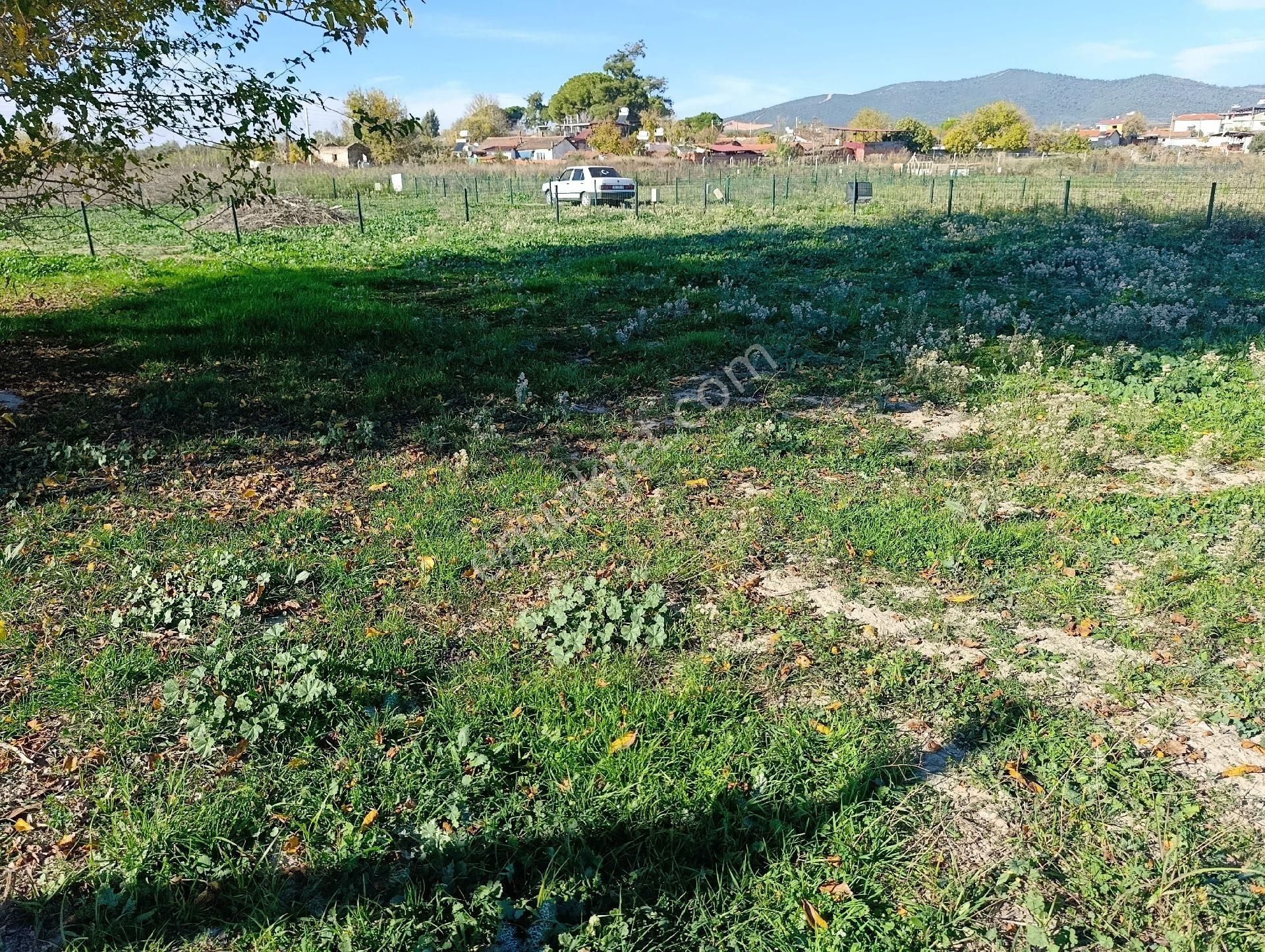 Hüseyin Güneş,den Arslanlarda Köy Dibinde Satılık Tarla - Görsel 14