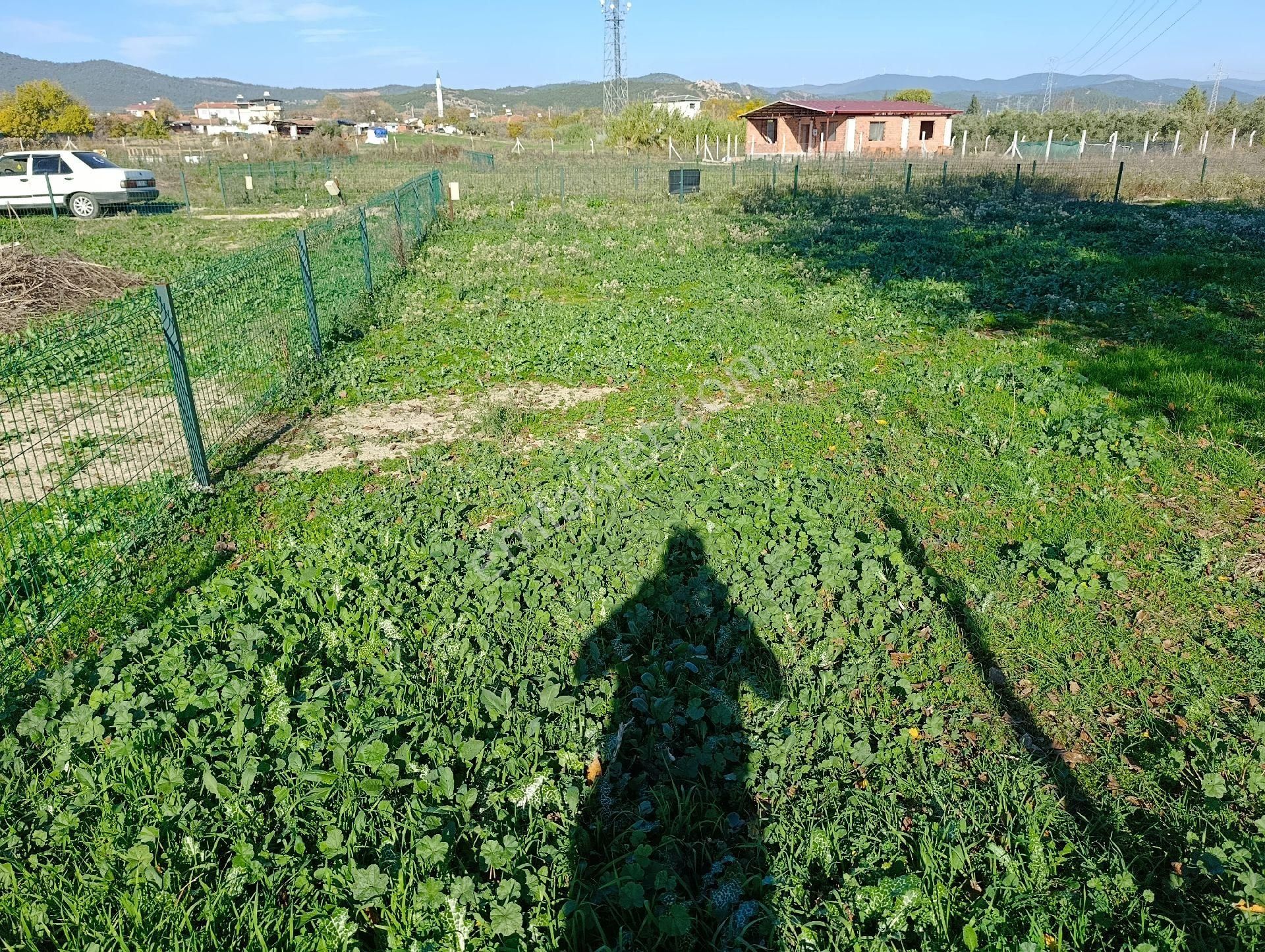 Hüseyin Güneş,den Arslanlarda Köy Dibinde Satılık Tarla - Görsel 15