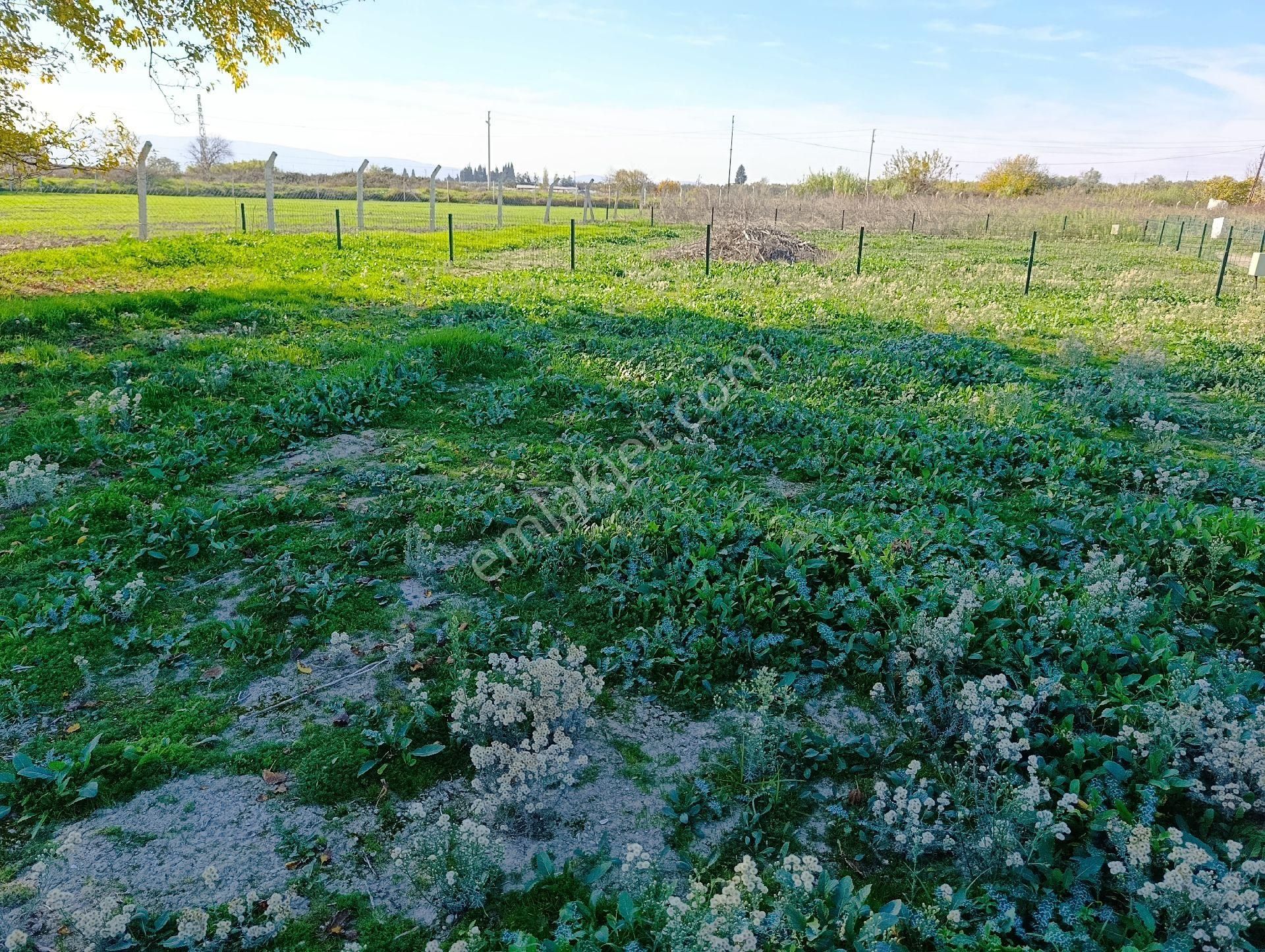 Hüseyin Güneş,den Arslanlarda Köy Dibinde Satılık Tarla - Görsel 16