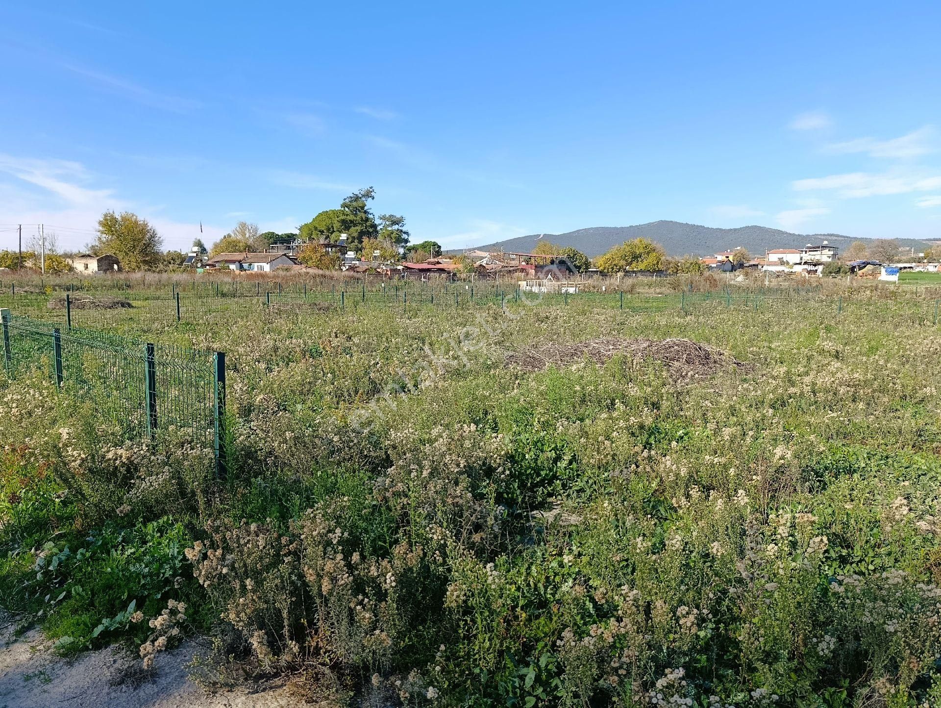 Hüseyin Güneş,den Arslanlarda Köy Dibinde Satılık Tarla - Görsel 8