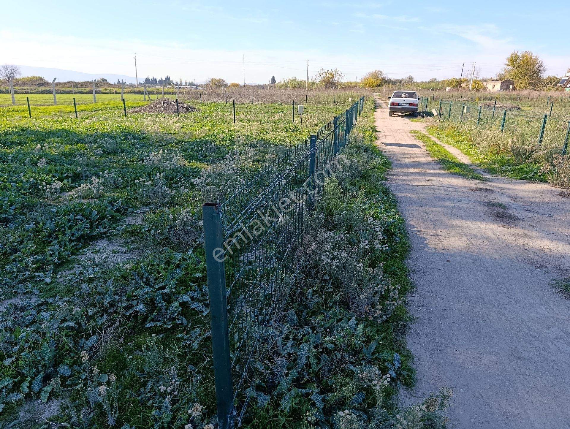 Hüseyin Güneş,den Arslanlarda Köy Dibinde Satılık Tarla - Görsel 17